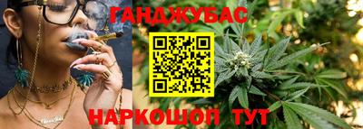 молекула духа Донецк