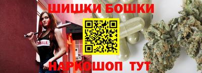 МДПВ Дубна