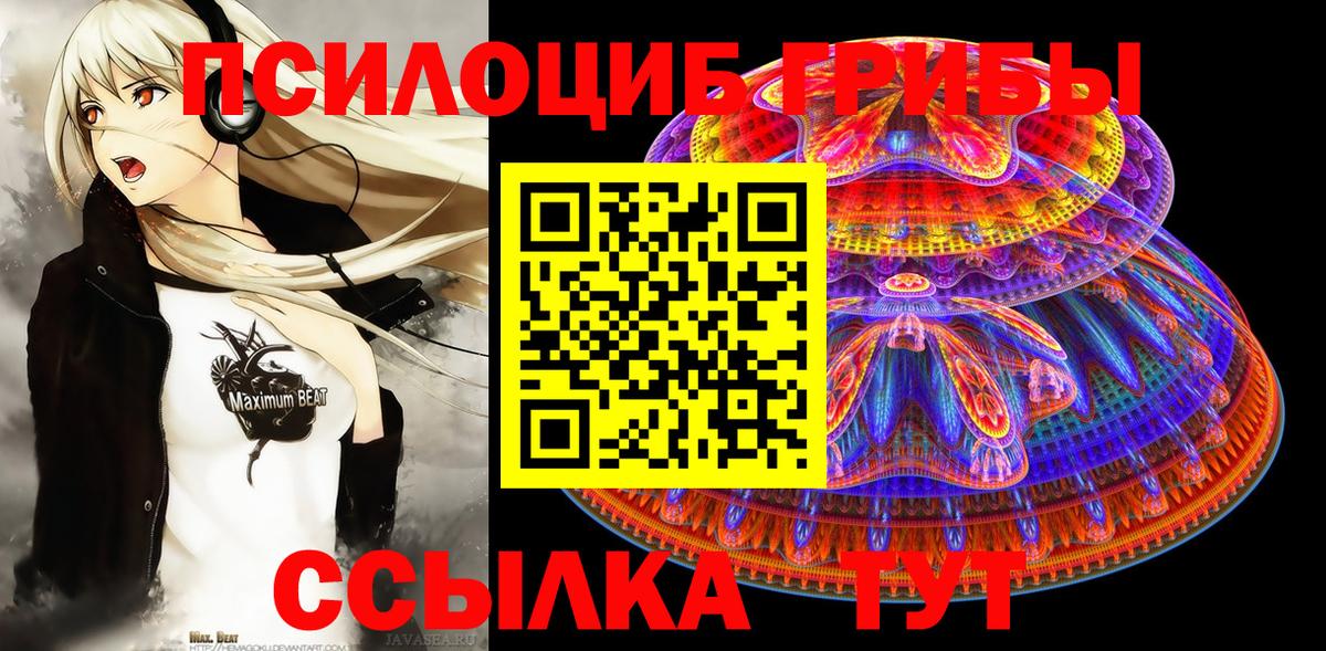 Псилоцибиновые грибы Cubensis Чехов