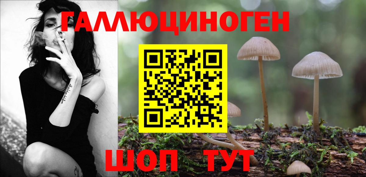Псилоцибиновые грибы Psilocybe  Псилоцибиновые грибы мицелий  Чехов  Вход с VPN 